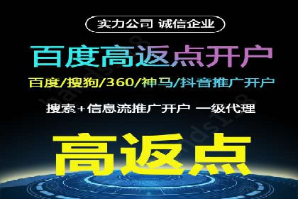 行业领先企业的SEM优化之路